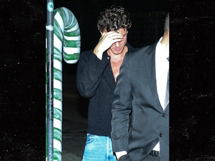 Shawn-Mendes-splash-2