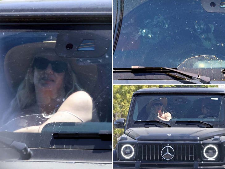 Britney Spears Feet and Hands In L.A.