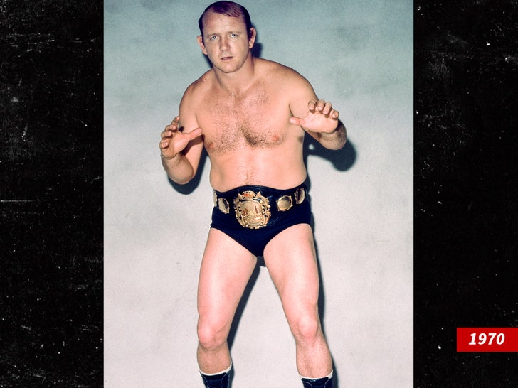 dory funk jr sub getty