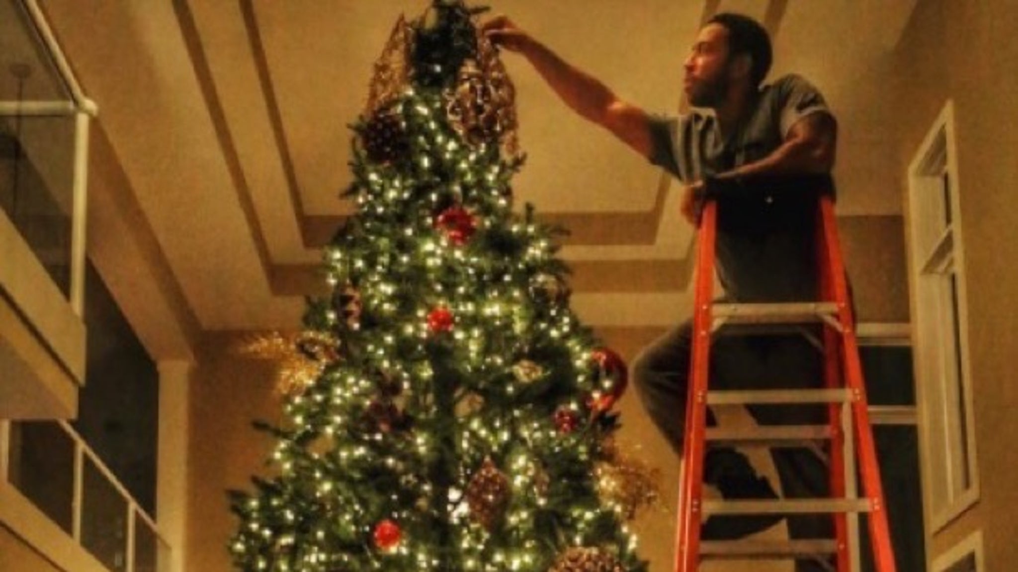 Celebrities' SkyHigh Christmas Trees