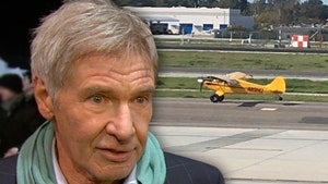 Harrison Ford, Some FAA Inspectors Think He Got Off too Easy