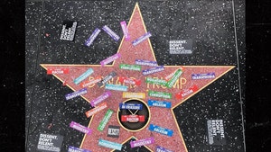 Donald Trump's Walk of Fame Star Vandalized During Resist March