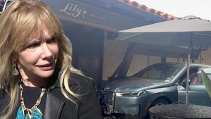 Rosanna Arquette in Malibu Car Crash