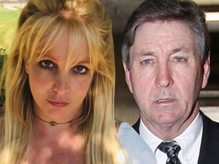 Britney Spears İfade Vermek İçin Oturmayacak, Hakim Kuralları