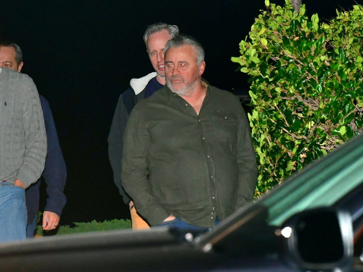 Matt LeBlanc Steps Out for Dinner with Pals