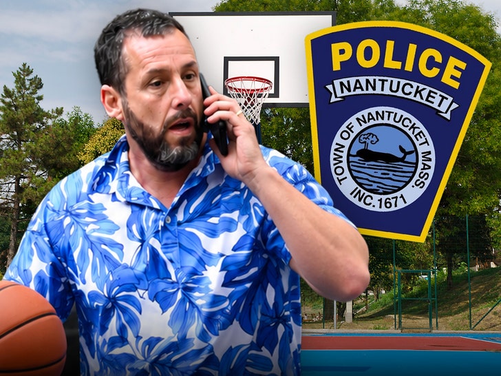 main-adam-sandler-tmz-getty-1