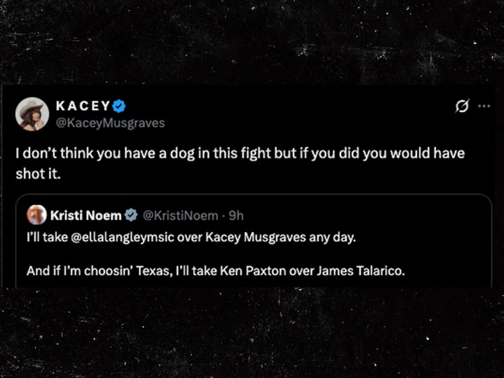 kacey musgraves and kristi twitter exchange 2