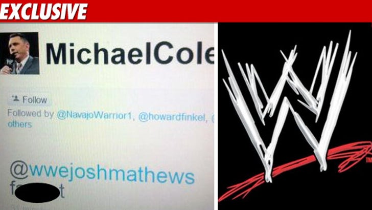 0326_WWE_MIchael_Cole_EX2
