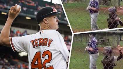 terry