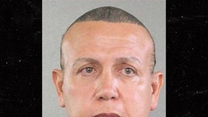 Mail Bomber Cesar Sayoc Pleads Guilty to 65 Felonies