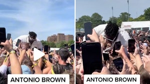 Antonio Brown Performs At Summer Smash Festival in Chicago, Crowd Surfs!