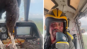 Blood-Covered Pilot Continues Flying Plane After Bird Slams Into Cockpit