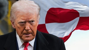 donald trump greenland getty comp