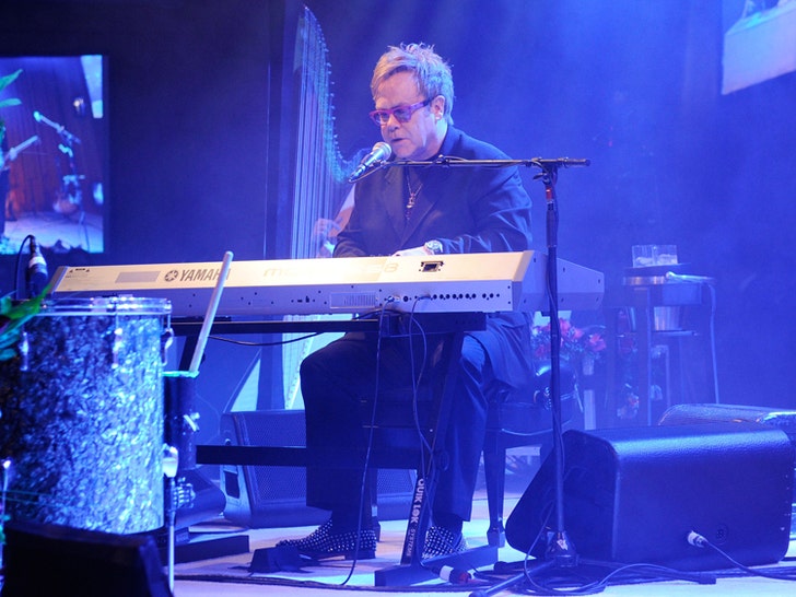 Fotos da apresentação de Elton John
