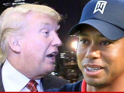 1209-trump-tiger-01
