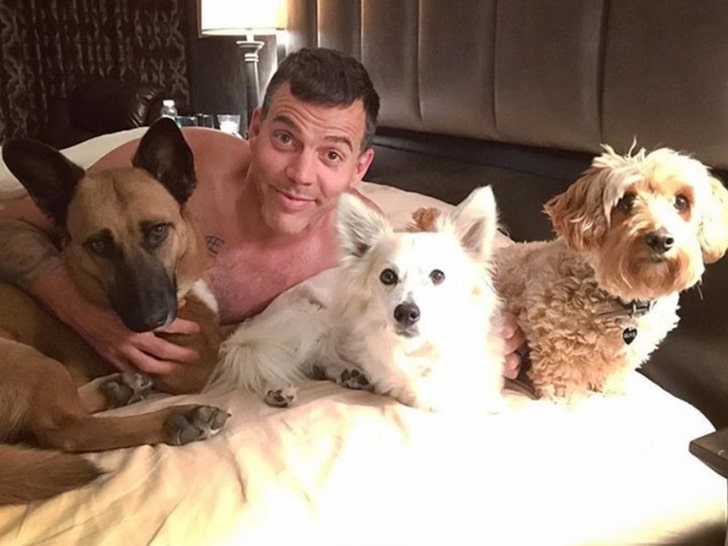 Entertainment Celebs Cuddling Dogs -- Ruff Life!