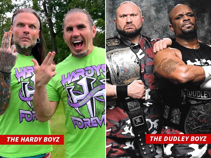 the Hardy Boyz the Dudley Boyz wwe comp