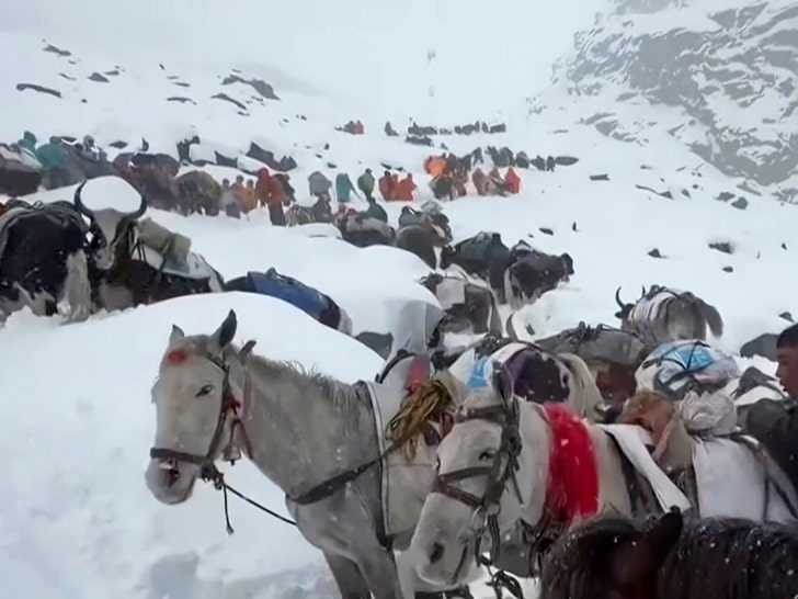 Artistes mount-everest-climbers-ap-2