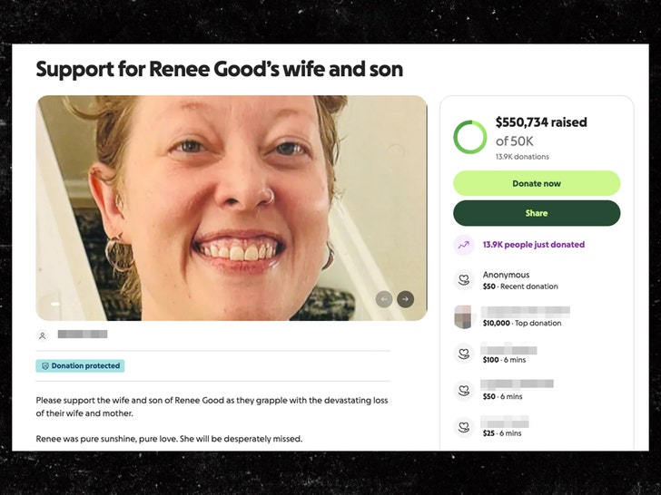 renee good gofundme sub