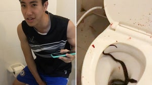 Man's Penis Bitten by 4-Foot Snake While Sitting on Toilet