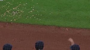 Yankees Players Throw Chewed Gum On Field In 'Gross' Dugout Game