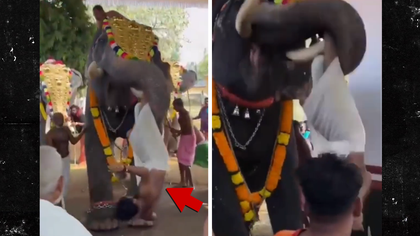 022626 elephant kal