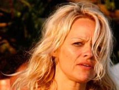 pamanderson2