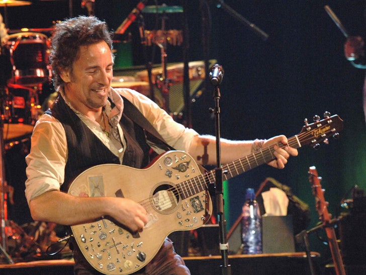 The Boss -- Bruce Springsteen Rock Photos