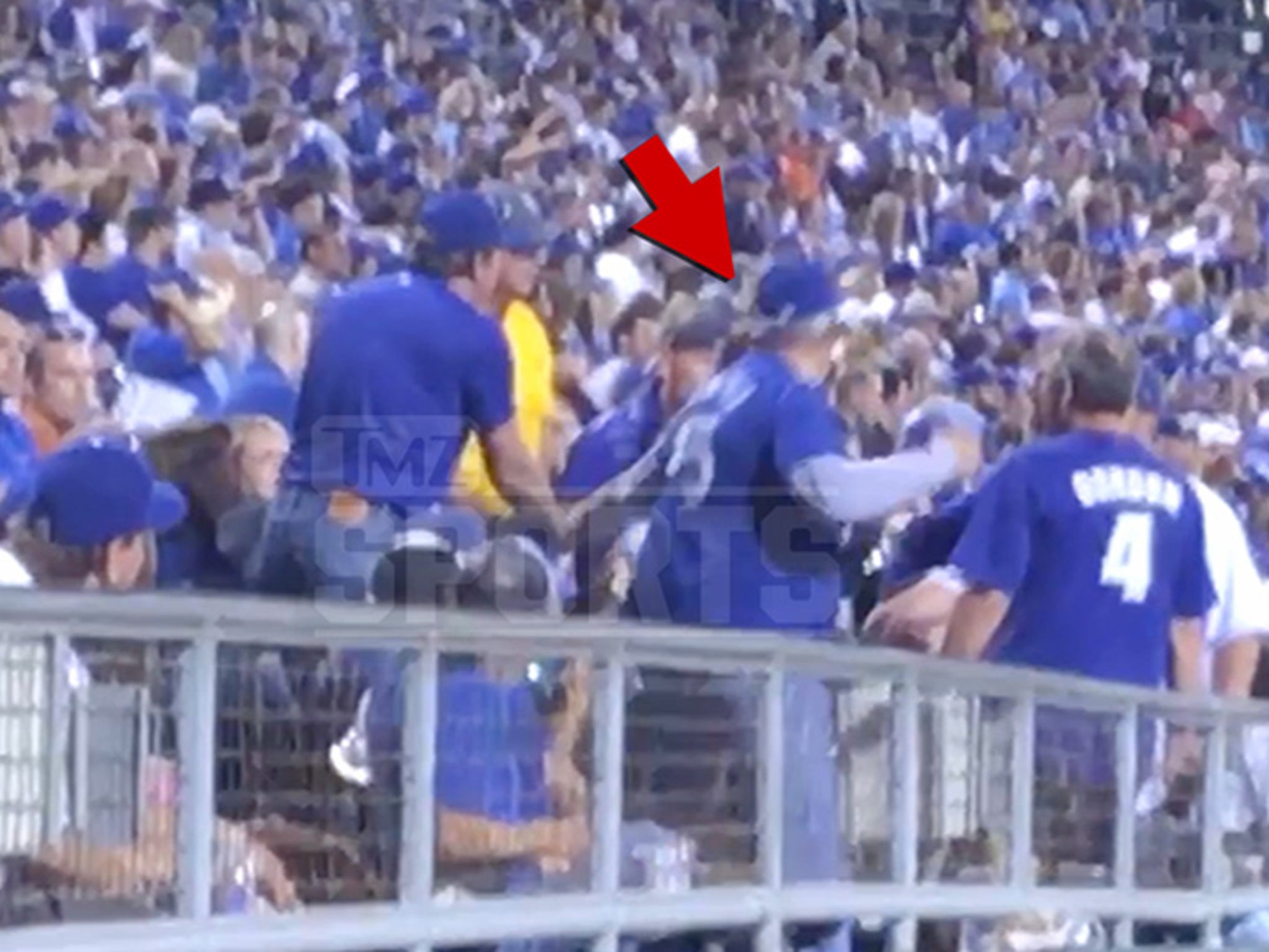 MLB Fan Arrested After Punching Cop During Blue Jays Game