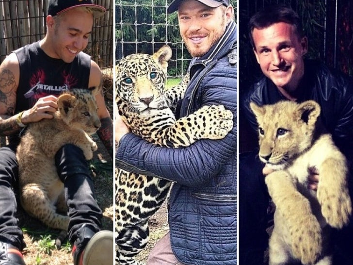 Stars With Exotic Cats