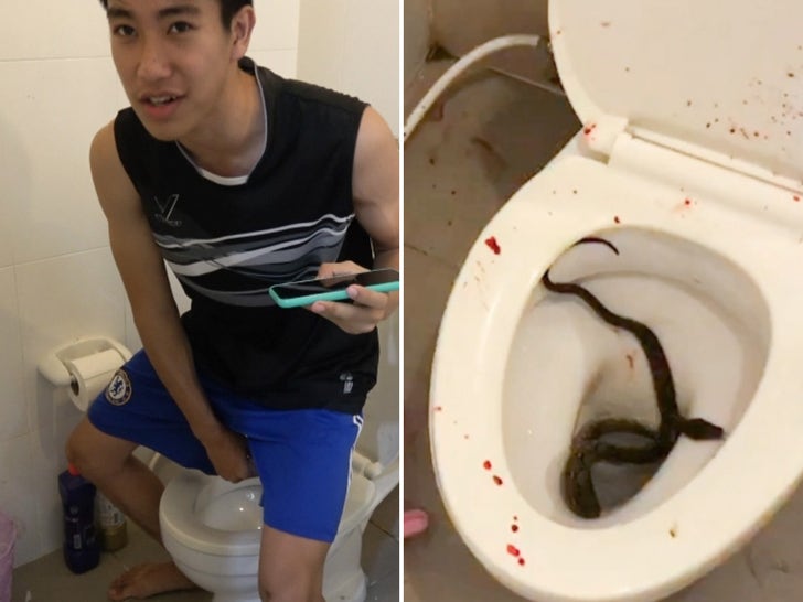 Man's Penis Bitten By Snake While Sitting on Toilet