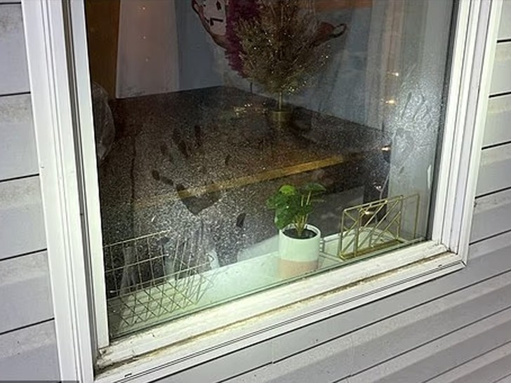bryan kohberger window hand prints getty Moscow Police Department 2