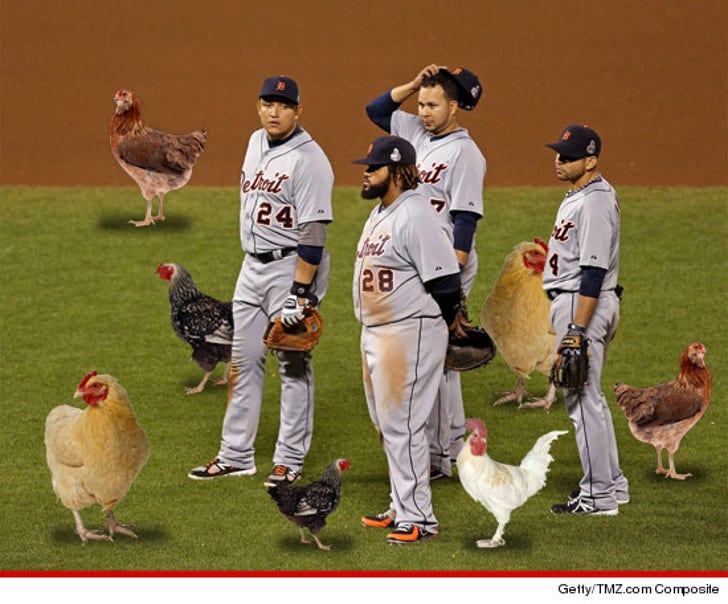 Detroit Tigers -- It's All About the Chicken This Year :: 1027-detroit-tigers-chickens-getty-3