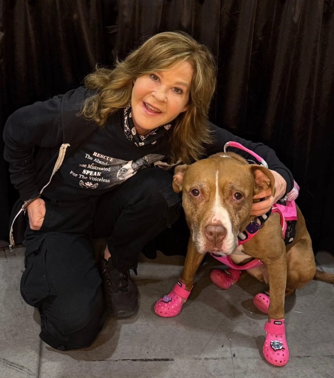 Linda Blair With Dogs 5