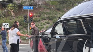 Arnold Schwarzenegger Involved in Bad Car Accident with Injuries