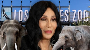cher-tina-billy-elephants-la-zoo-getty-1