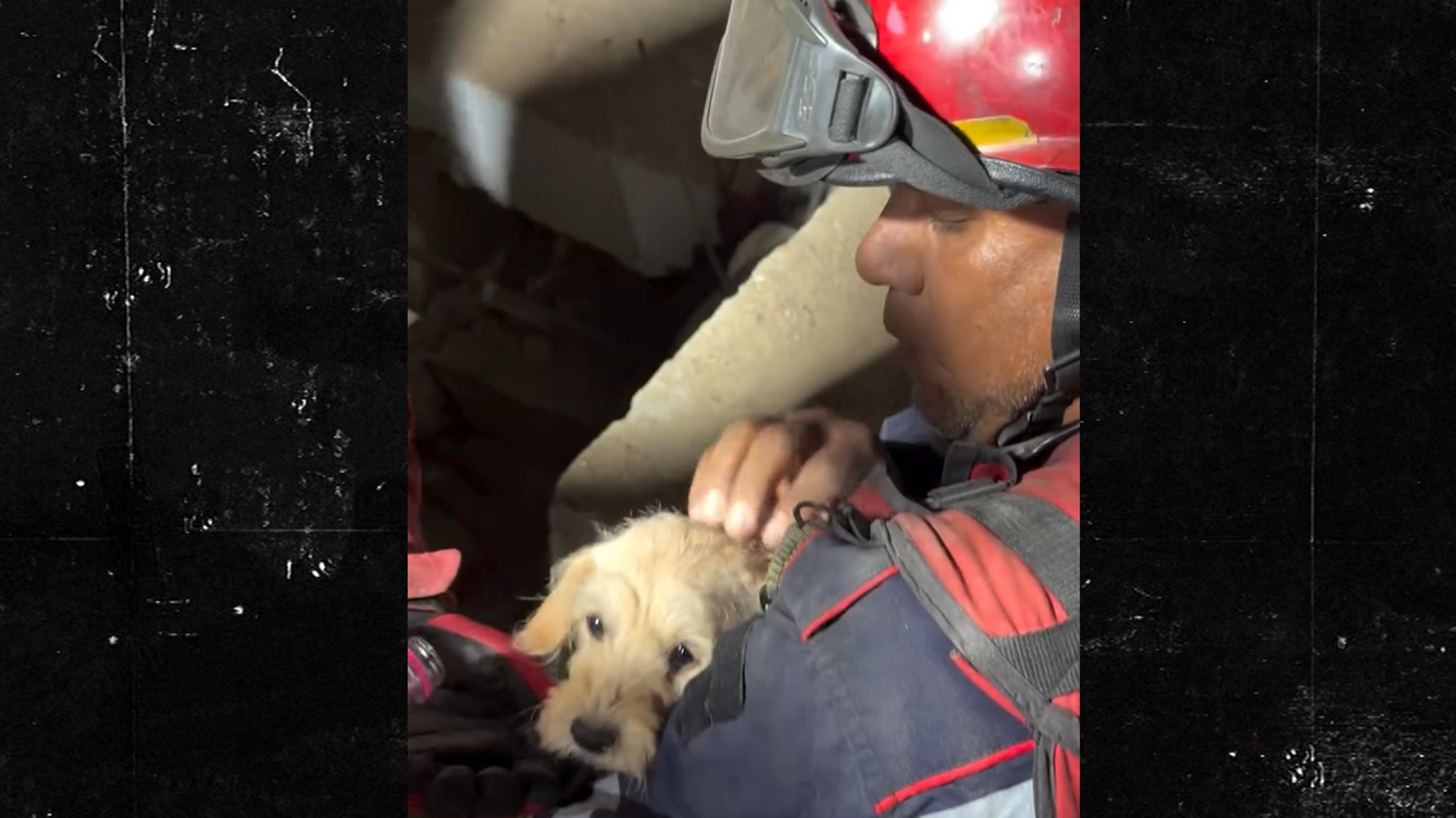 Puppy Pulled From Rubble After Venezuela Quakes!