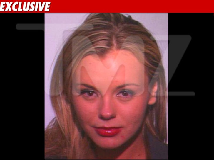 Charlie Sheen's Porn Pal Bree Olson Arrested for DUI