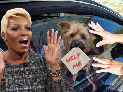 0304-nene-leakes-yorkie-help