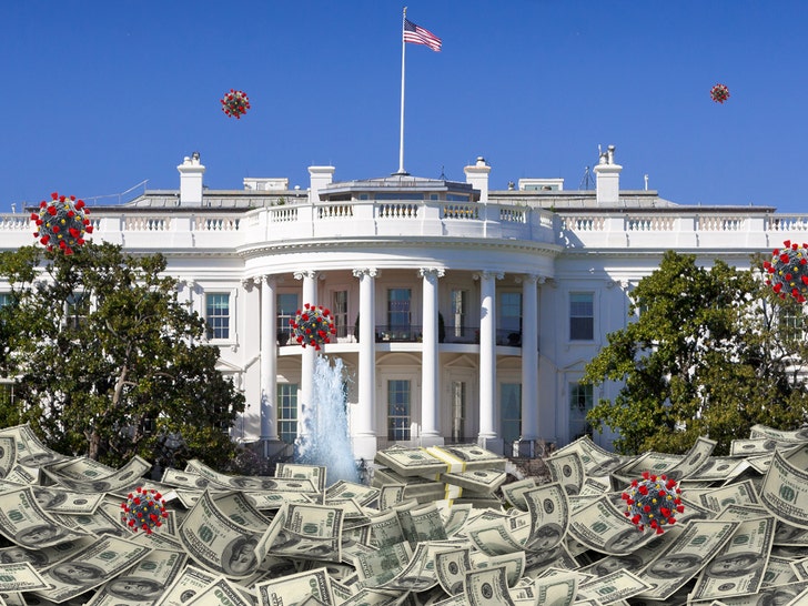 1123 white house covid fun art tmz getty 01