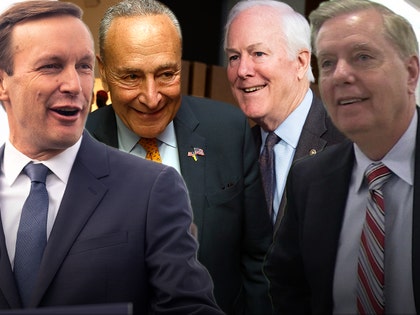 chuck Schumer and chris Murphy John cornyn and Lindsey graham getty tmz