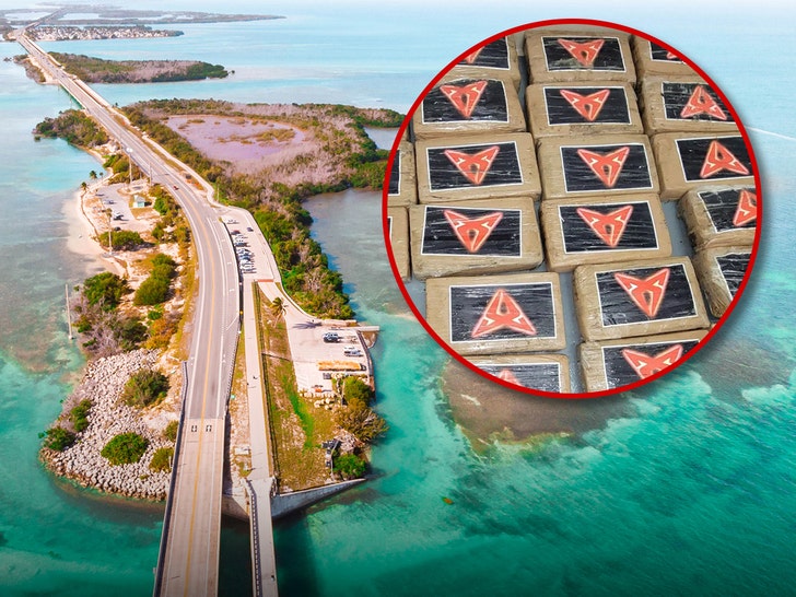 florida keys cocaine getty United States Border Patrol 1