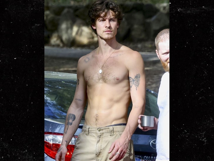 0228-Shawn-Mendes-Goes-Shirtless-During-Griffith-Park-Hike-primary-2