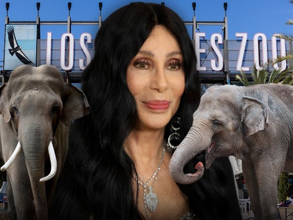 cher-tina-billy-elephants-la-zoo-getty-1