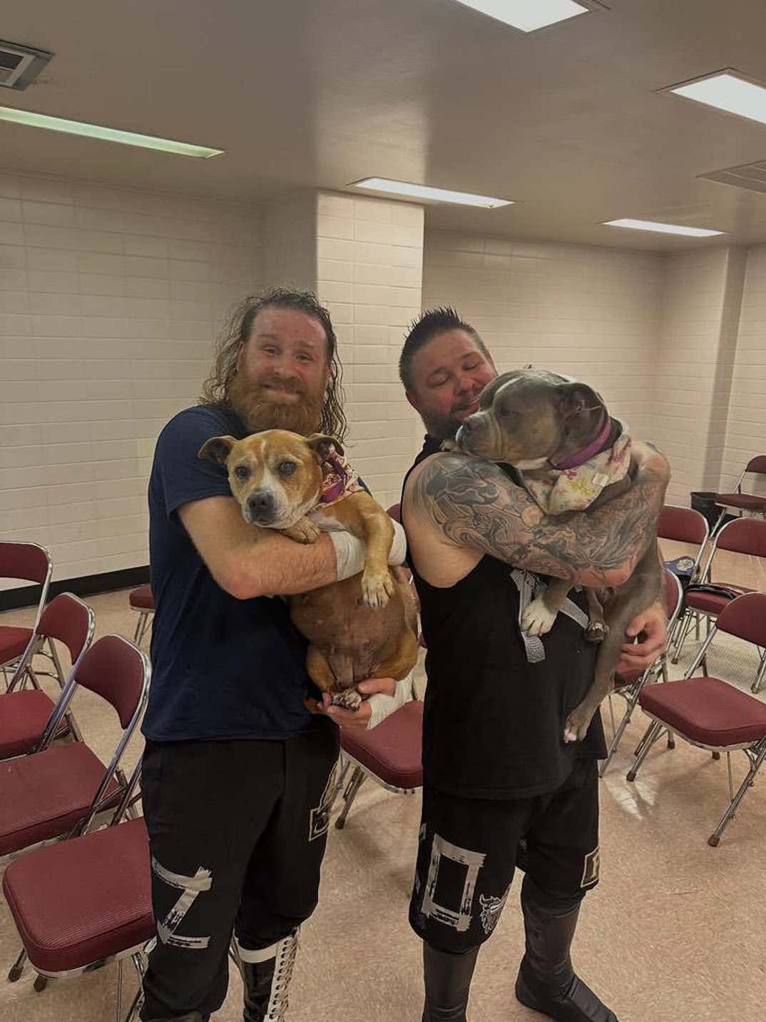 Sheamus Dog Betty 9
