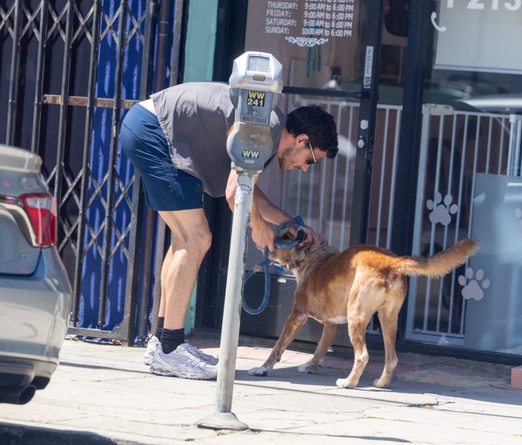 FranCois Arnaud Dog Walk 1