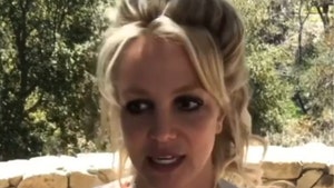 Britney Spears' Housekeeper,  Dog Was Close to Death, Needed Urgent Care