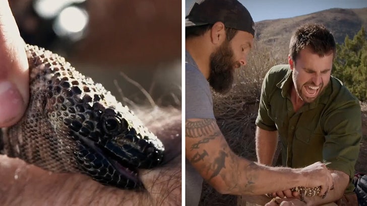 'Kings of Pain' Star Adam Thorn Pukes After Bite from Venomous Lizard.jpg