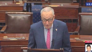 chuck-schumer-primary-07-15-2026