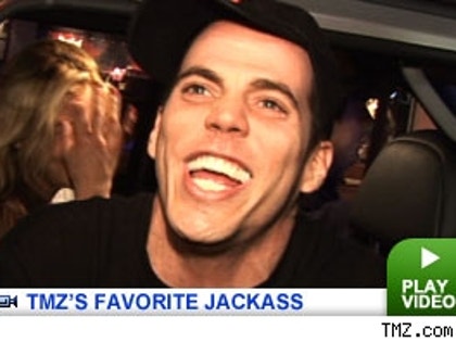 Steve-O: Click to watch